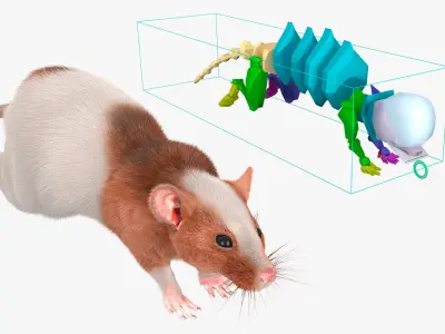  Running Rat Fur Animated Rigged 