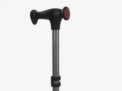 Lightweight walking stick 3D model