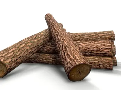 Log - Pine decks Low-poly 3D model