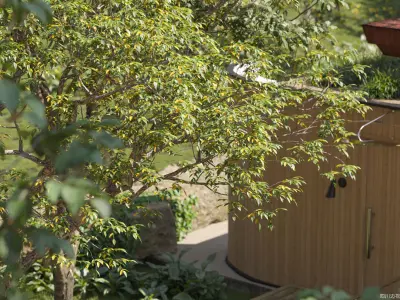 Maxtree Plant Models Vol 96 - Mesh 3D model