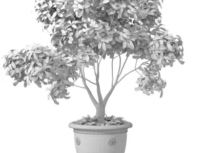 Decorative tree in a classic pot and flowerpot 3D model