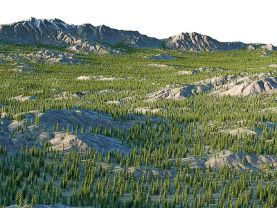 landscape01 engelmann spruce 3D model