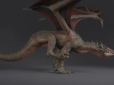  Dragon XO Rigged 