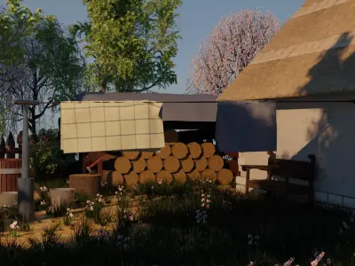 Yard in the village 3D model