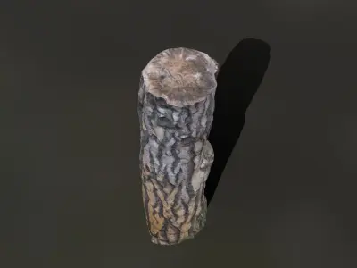 pine trunk 01 Low-poly 3D model