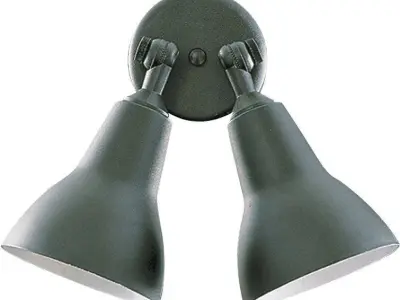Balmorhea Spot Light 3D model