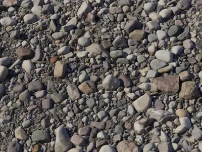 Realistic River Pebbles Ground Texture Texture