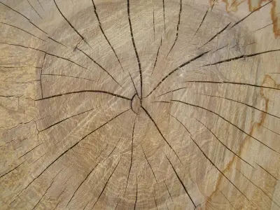 Table  Lamp Stump 3D model