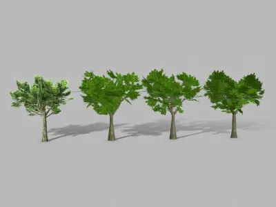 Oak 2 four trees Low-poly 3D model
