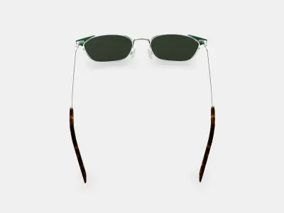 Heyward Sunglasses in Antique Silver with Pine 3D model