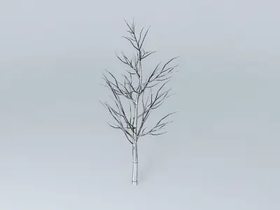 TREE SQUARE NISHINOMIA Free 3D model