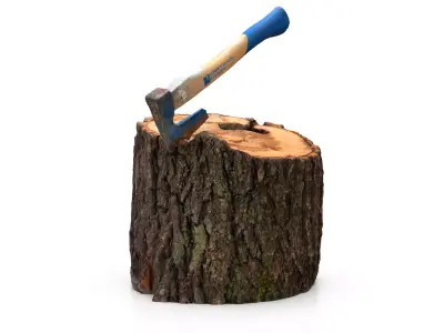 Log with small axe 3D model