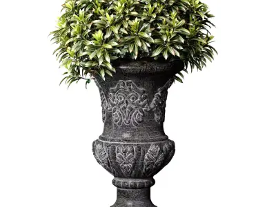 Decorative tree plant shrub classic flower vase planter vase urn 3D model