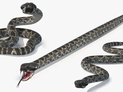  Rattlesnake Dark Rigged for Maya 