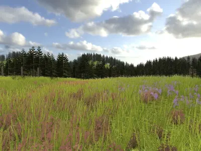 Rural Environment Pack Low-poly 3D model