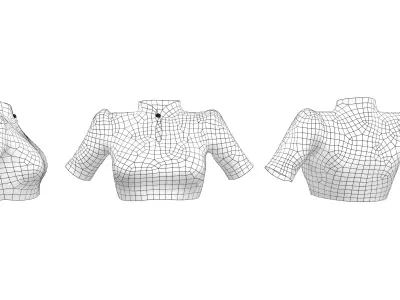 Stand Collar Short Arm Blouse Low-poly 3D model