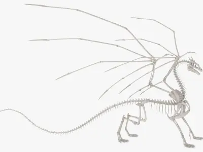  Fantasy Dragon Creature and Skeleton Collection 