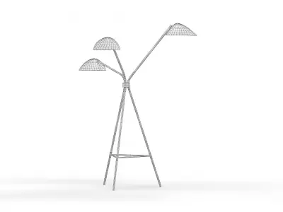 Curvilinear Tripod Floor Lamp 3D model