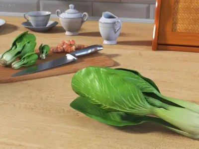  Salad Greens Collection 5 