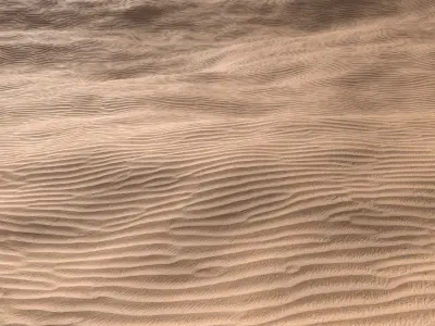 Sand Beach 05 PBR Low-poly 3D model