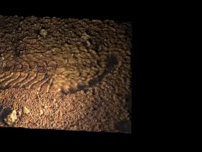 Astronauts Footprint On Mars 3D model