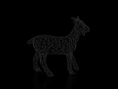 Goat Wireframe Low-poly 3D model