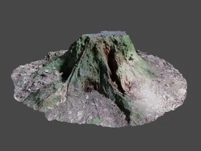 Tree Stump 2 3D model