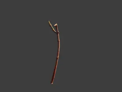 Free PBR Stick twig dead broken Scan Free low-poly 3D model