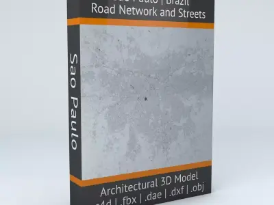 Sao Paulo Road Network and Streets 3D model