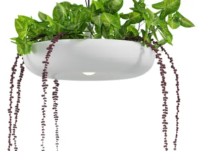  Indrid Decorative Plants White Light By Lightmakers Low-poly 3D model