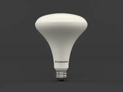 LED light bulbs 3D model