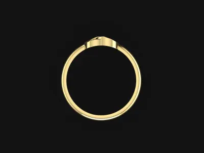 Ring Circles 3D print model