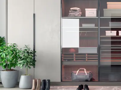 decoration wardrobe Modern Cabinets monomer 3D model