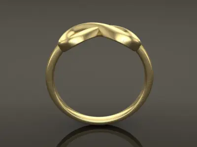 Infinity Band Ring Mix Size 3D print model