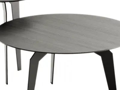 FEZA Round Coffee tables by Nobonobo 3D model