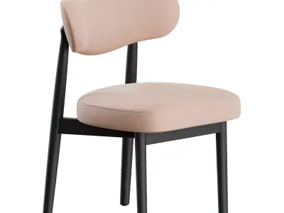Frenchmen Street Side Chair by Man Of Parts 3D model