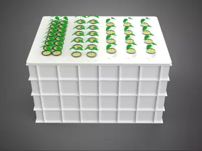 AEROPONIC HYDROPONIC ROCKWOOL PLANTING BOX POD CULTURE SYSTEM UP 3D model