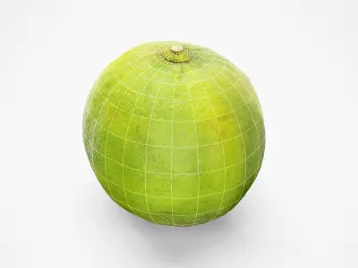 Lime - Photorealistic Scan Low-poly 3D model