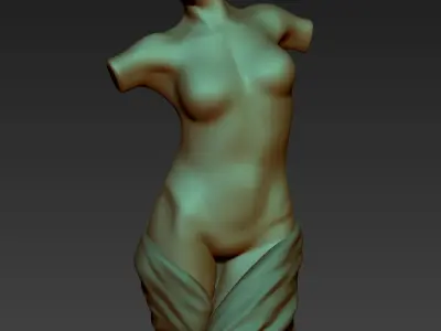 Marble Female Torst Bust Sculpture - OBJ ZTL HIP 3D model