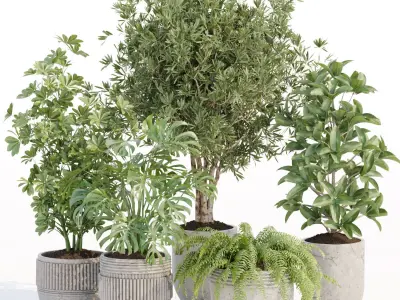 71 Plant collection vol 200 3D Model Pack