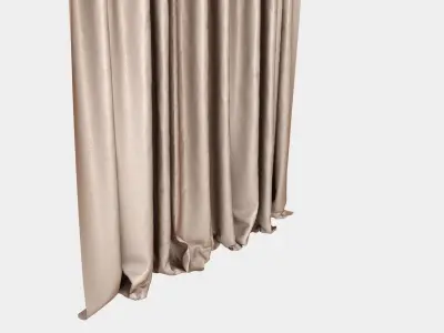 Pinch Pleat Curtain 3D model