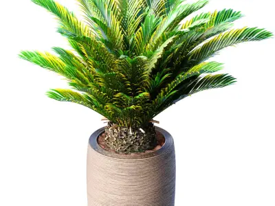 Decorative evergreen Cycas palm modern high floor vase Art Deco 3D model
