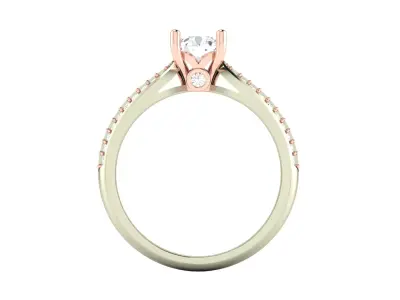 Women Ring  Render 3dm STL OBJ FBX Details 3D print model 247