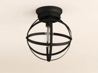 Walck Light Caged Globe Flush Mount 3D model