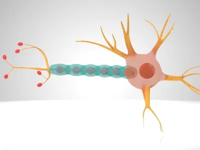 Neuron Cell Low-poly 3D model