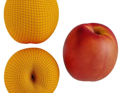 Nectar plate 3D model