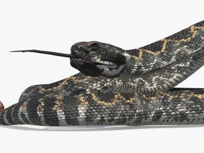  Rattlesnake Dark Rigged for Maya 