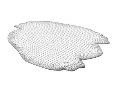Aki Rug 3D model