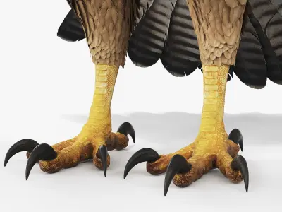  Hunting Falcon with Traditional Falconry Hood Brown 