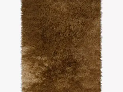 Carpet Brown 3D model